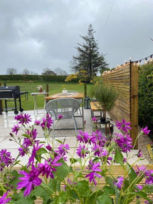 Anglesey Scandi Cabin Pentraeth Exterior photo